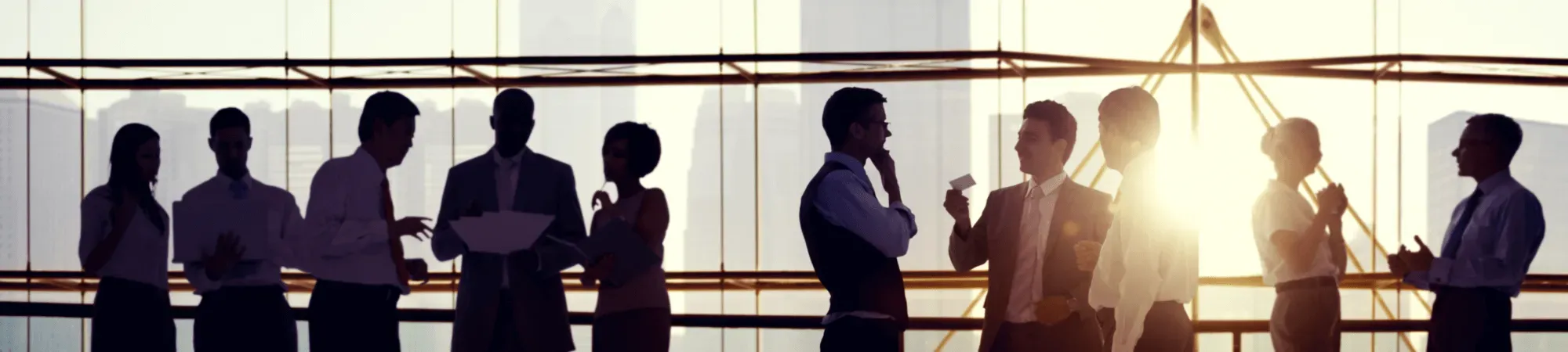 Clients and Business Partners in discussion in front of window