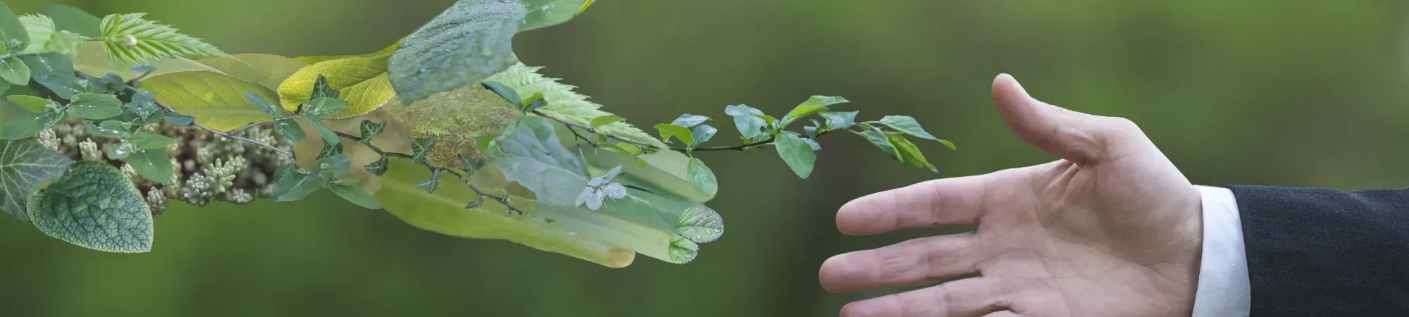 Consultant shaking hands with nature agreeing sustainability